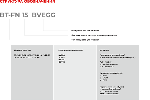 Торцевое уплотнение BT-FN 35 BXPGF в Казани фото
