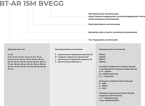Торцевое уплотнение BT-AR 70 QQVGG в Казани фото